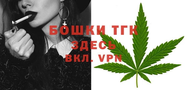 ГАЛЛЮЦИНОГЕННЫЕ ГРИБЫ Лагань