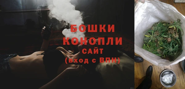 ГАЛЛЮЦИНОГЕННЫЕ ГРИБЫ Лагань