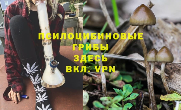 2c-b Алапаевск