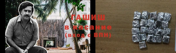 ГАЛЛЮЦИНОГЕННЫЕ ГРИБЫ Лагань