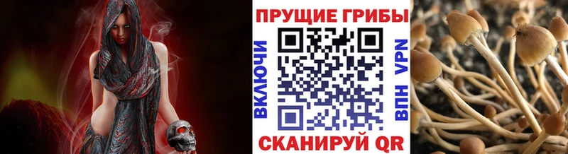 сайты даркнета клад  кракен ССЫЛКА  Новоузенск  Галлюциногенные грибы прущие грибы 